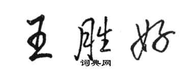 駱恆光王勝好行書個性簽名怎么寫