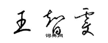 梁錦英王智雯草書個性簽名怎么寫