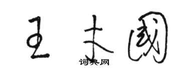 駱恆光王才國草書個性簽名怎么寫