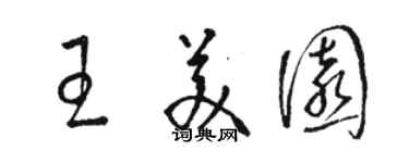 駱恆光王美園草書個性簽名怎么寫