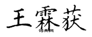 丁謙王霖獲楷書個性簽名怎么寫