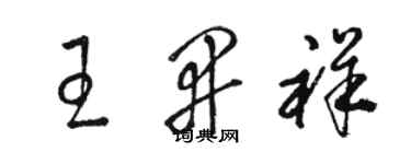 駱恆光王開祥草書個性簽名怎么寫