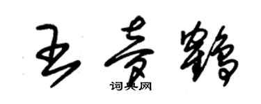 朱錫榮王夢鶴草書個性簽名怎么寫