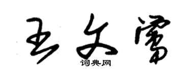 朱錫榮王文鶯草書個性簽名怎么寫