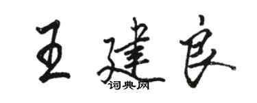 駱恆光王建良行書個性簽名怎么寫