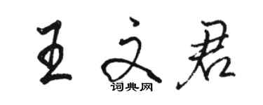 駱恆光王文君行書個性簽名怎么寫