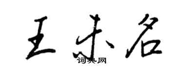 王正良王未名行書個性簽名怎么寫