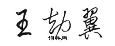 駱恆光王劫翼行書個性簽名怎么寫