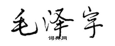 曾慶福毛澤宇行書個性簽名怎么寫