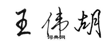 駱恆光王偉胡行書個性簽名怎么寫