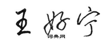 駱恆光王好寧行書個性簽名怎么寫