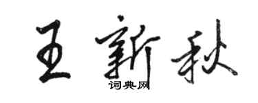 駱恆光王新秋行書個性簽名怎么寫