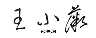 駱恆光王小薇草書個性簽名怎么寫