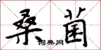 周炳元桑菌楷書怎么寫