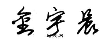 朱錫榮金宇晨草書個性簽名怎么寫