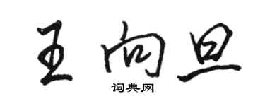 駱恆光王向旦行書個性簽名怎么寫