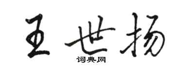駱恆光王世揚行書個性簽名怎么寫