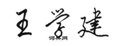 駱恆光王學建行書個性簽名怎么寫