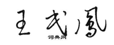 駱恆光王民鳳草書個性簽名怎么寫