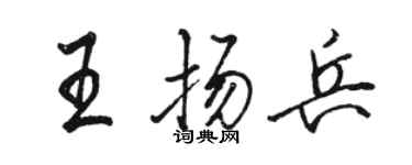 駱恆光王揚兵行書個性簽名怎么寫