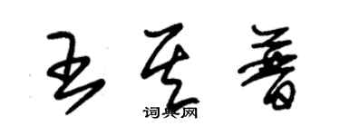 朱錫榮王其普草書個性簽名怎么寫