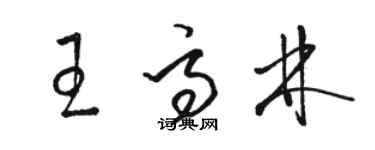 駱恆光王高林草書個性簽名怎么寫