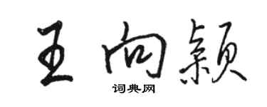 駱恆光王向穎行書個性簽名怎么寫