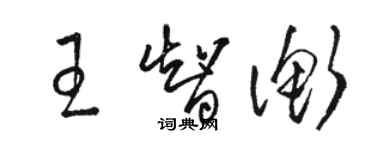 駱恆光王智衡草書個性簽名怎么寫