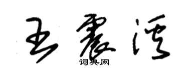 朱錫榮王震溪草書個性簽名怎么寫