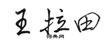 駱恆光王拉田行書個性簽名怎么寫