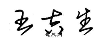 朱錫榮王吉生草書個性簽名怎么寫