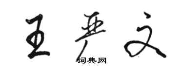 駱恆光王嚴文行書個性簽名怎么寫