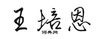 駱恆光王培恩行書個性簽名怎么寫