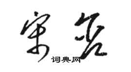 駱恆光宋含草書個性簽名怎么寫