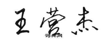 駱恆光王營傑行書個性簽名怎么寫