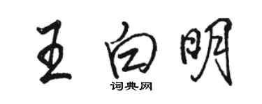 駱恆光王白明行書個性簽名怎么寫