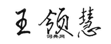 駱恆光王領慧行書個性簽名怎么寫