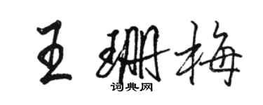 駱恆光王珊梅行書個性簽名怎么寫