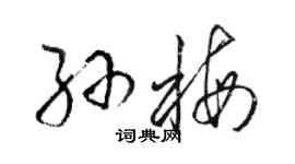 駱恆光孫梅草書個性簽名怎么寫