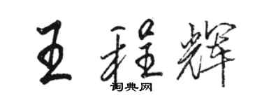 駱恆光王程輝行書個性簽名怎么寫