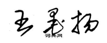 朱錫榮王墨揚草書個性簽名怎么寫