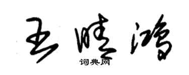 朱錫榮王晴鴻草書個性簽名怎么寫