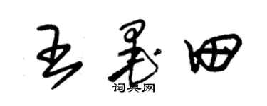 朱錫榮王墨田草書個性簽名怎么寫