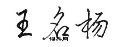 駱恆光王名楊行書個性簽名怎么寫
