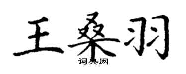 丁謙王桑羽楷書個性簽名怎么寫