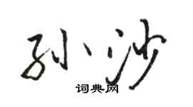 駱恆光孫沙行書個性簽名怎么寫