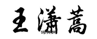 胡問遂王瀟蒿行書個性簽名怎么寫