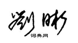 朱錫榮劉晰草書個性簽名怎么寫