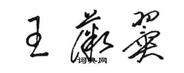 駱恆光王薇翼草書個性簽名怎么寫