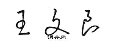 駱恆光王文良草書個性簽名怎么寫